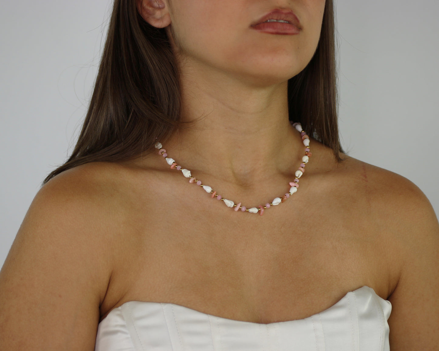 ZAG07495-Rosa3