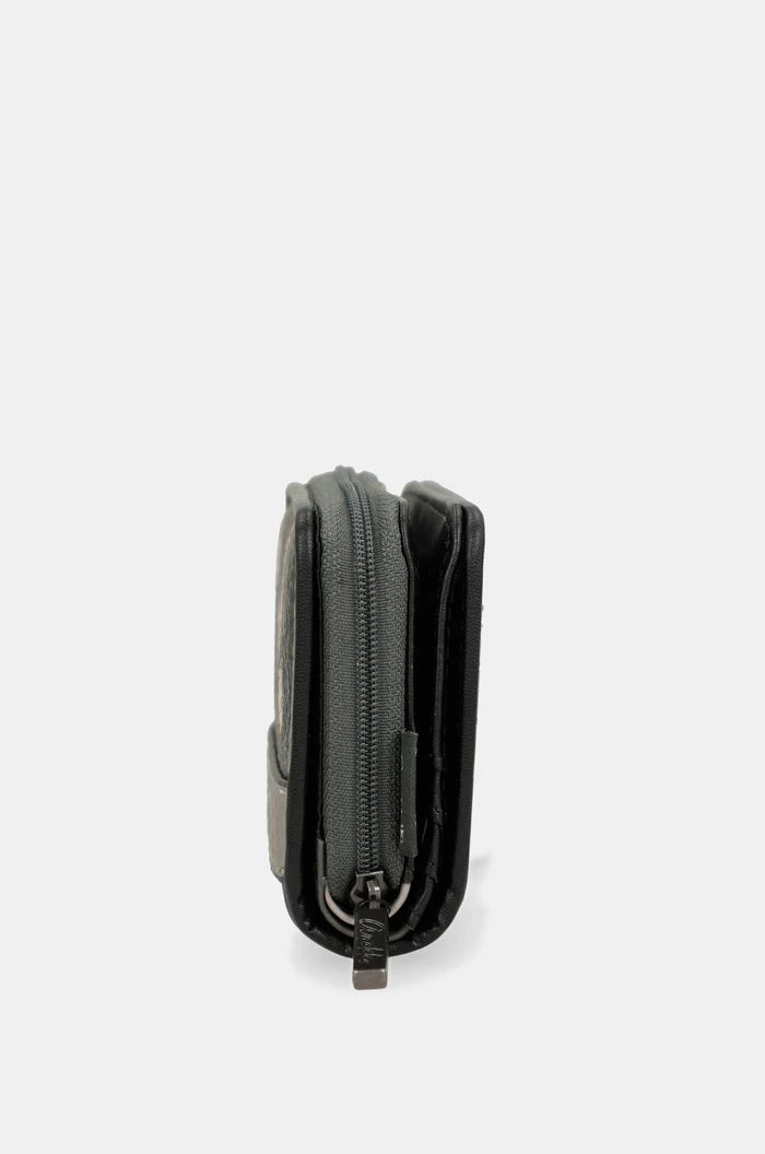 43809903-Grigio