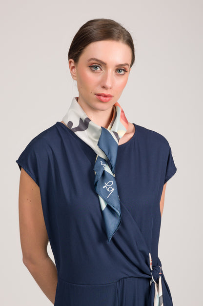 AN42470317-Blu