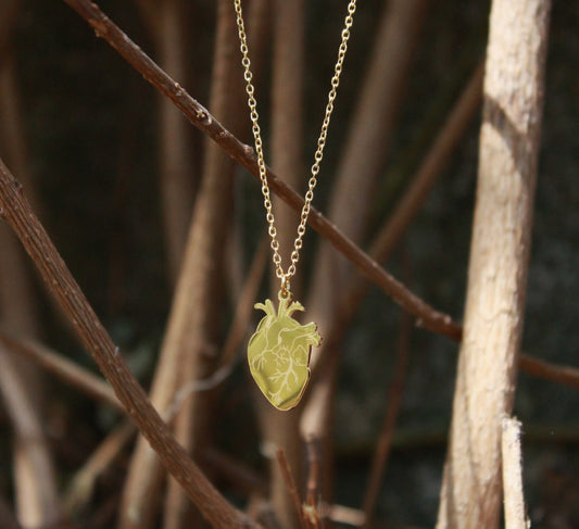 Collana Donna Cuore Anatomico