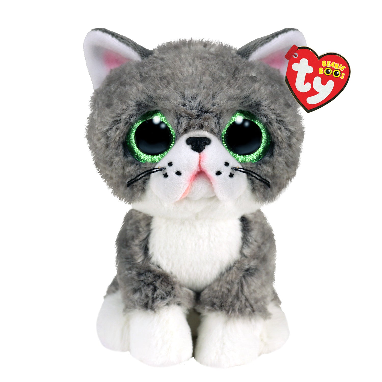 T36581