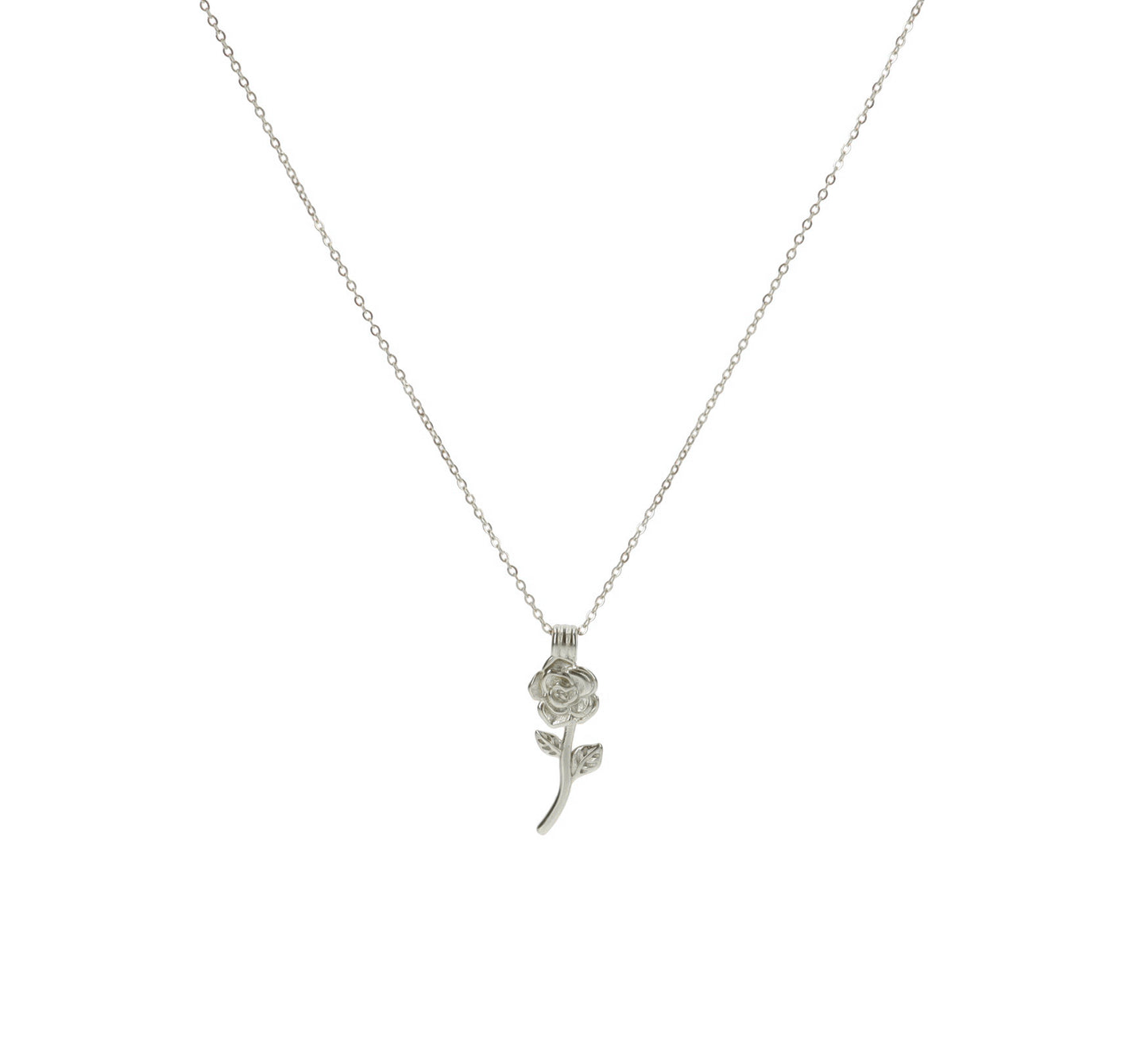 ZAG07499-Argento