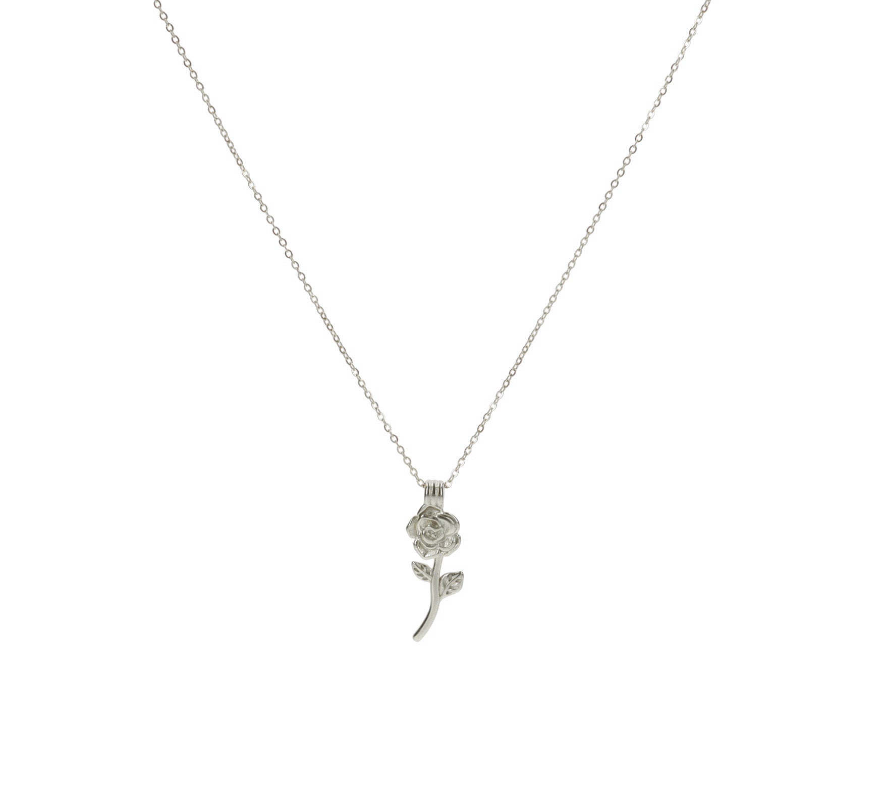 ZAG07499-Argento