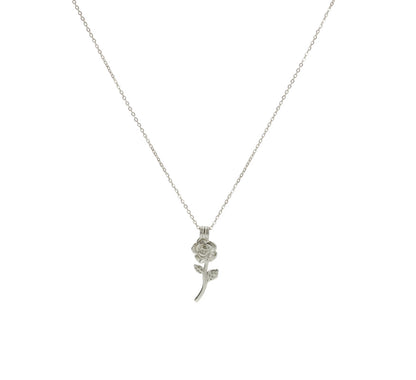 ZAG07499-Argento