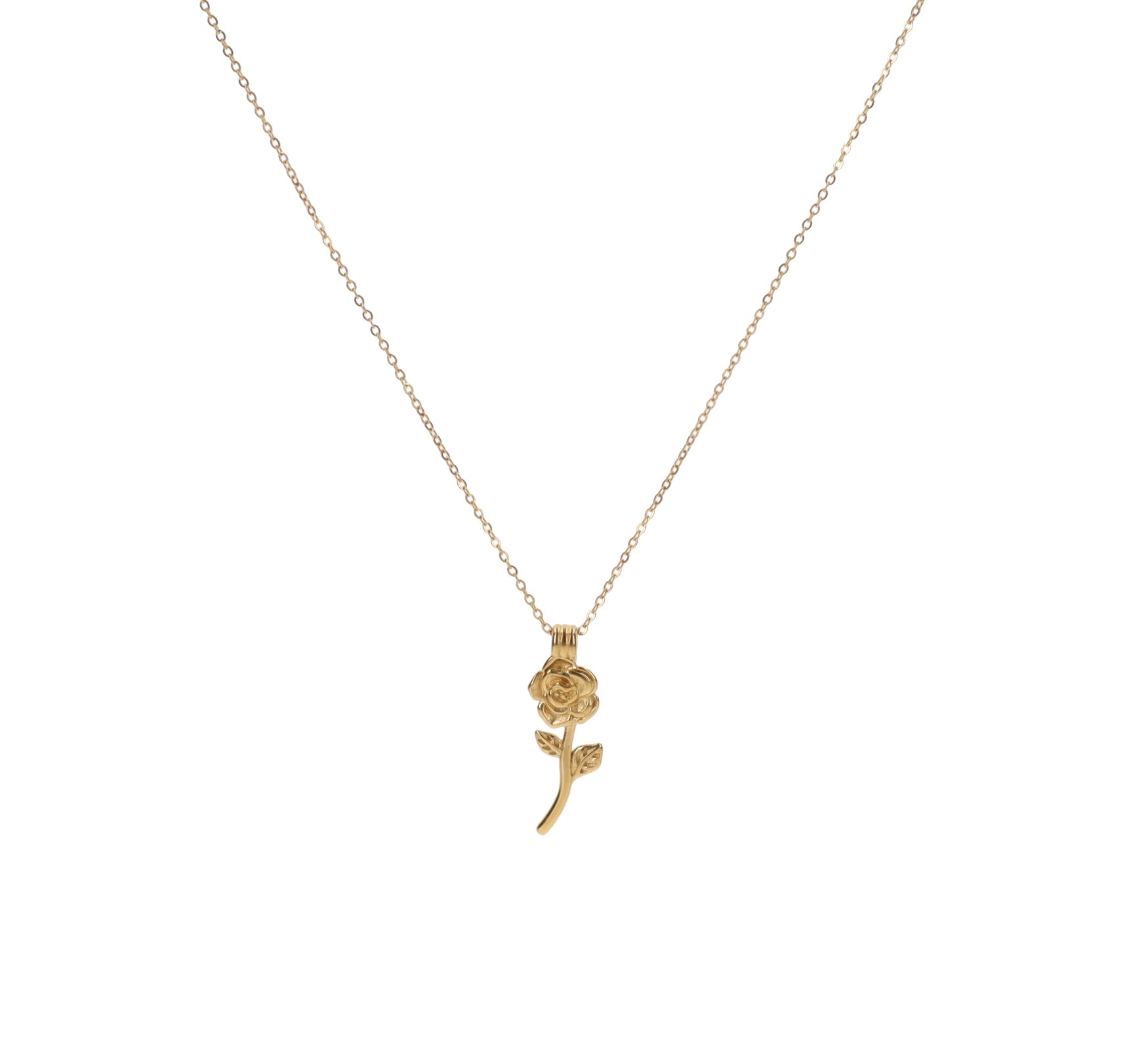 ZAG07499-Oro