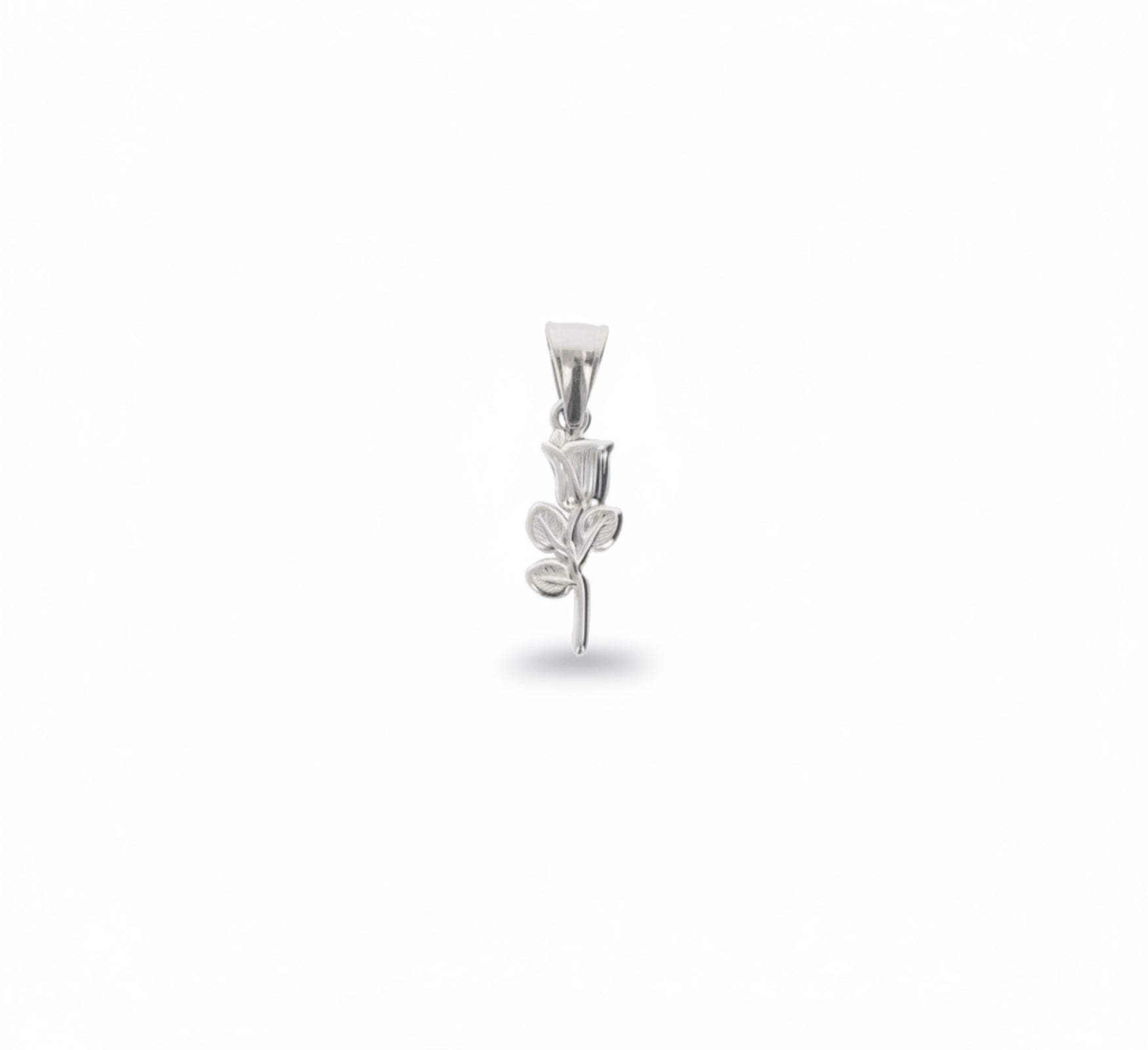 ZAG07523-Argento
