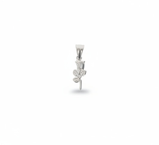 ZAG07523-Argento