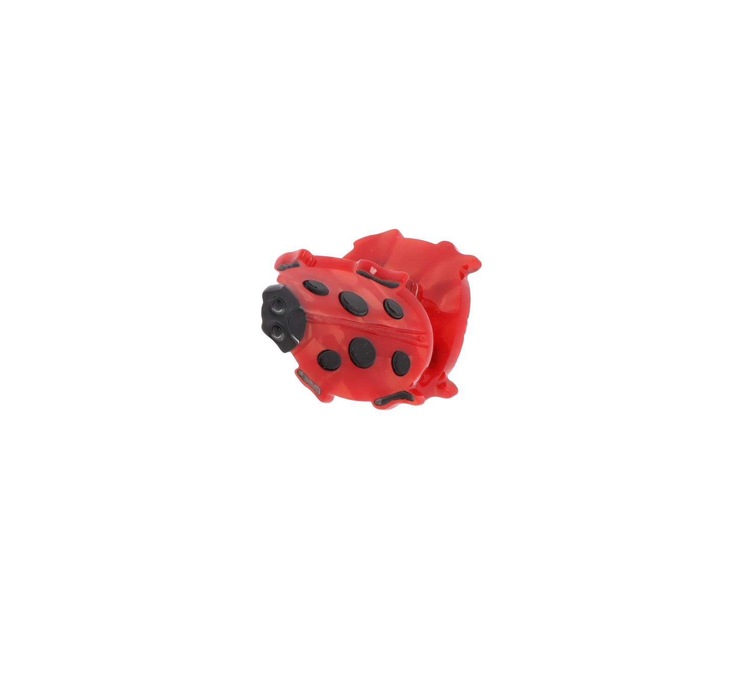 ZAG07671-Rosso