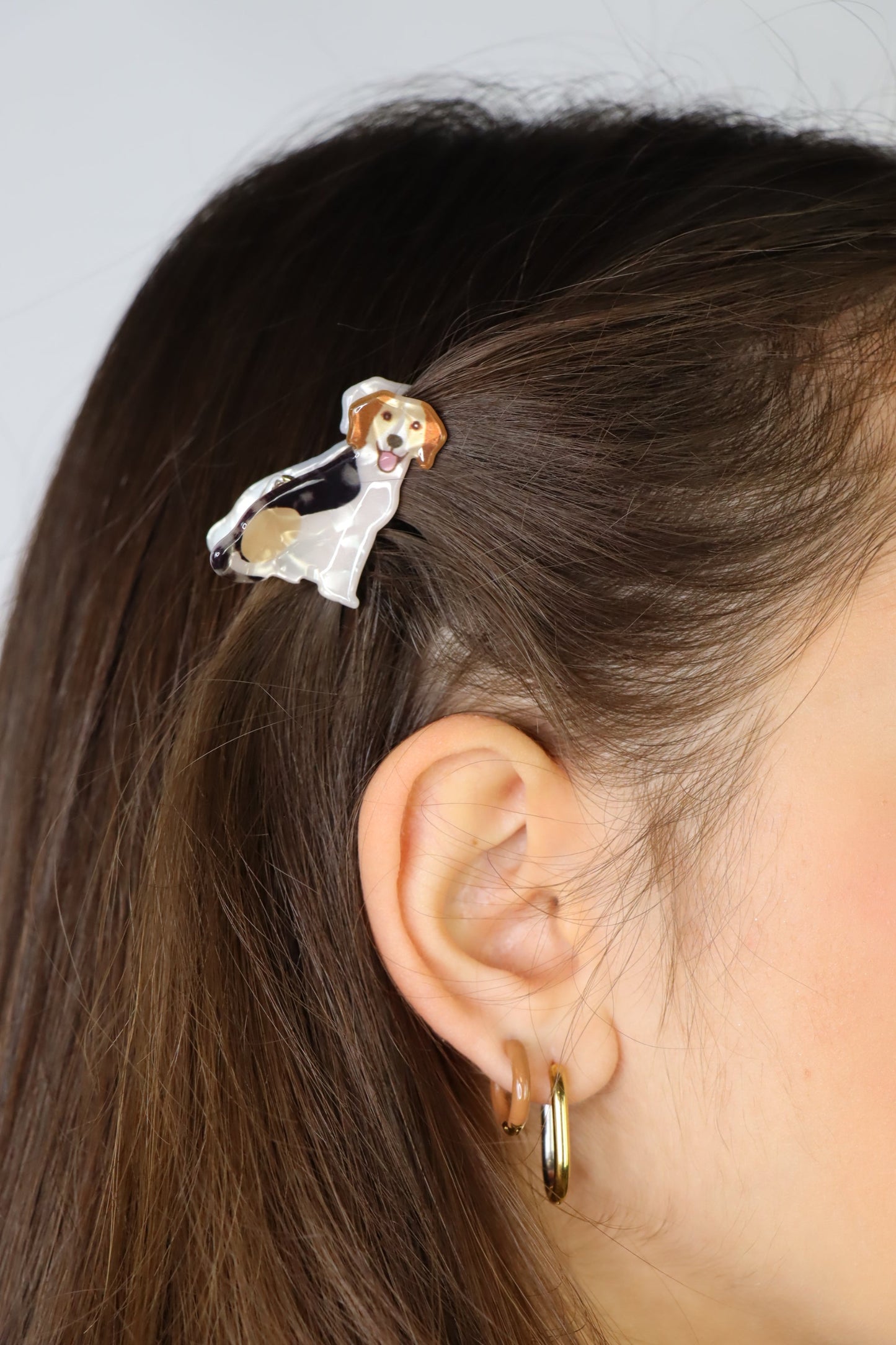 ZAG07677-Marrone