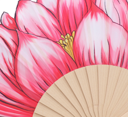 ZAG07889-Rosa