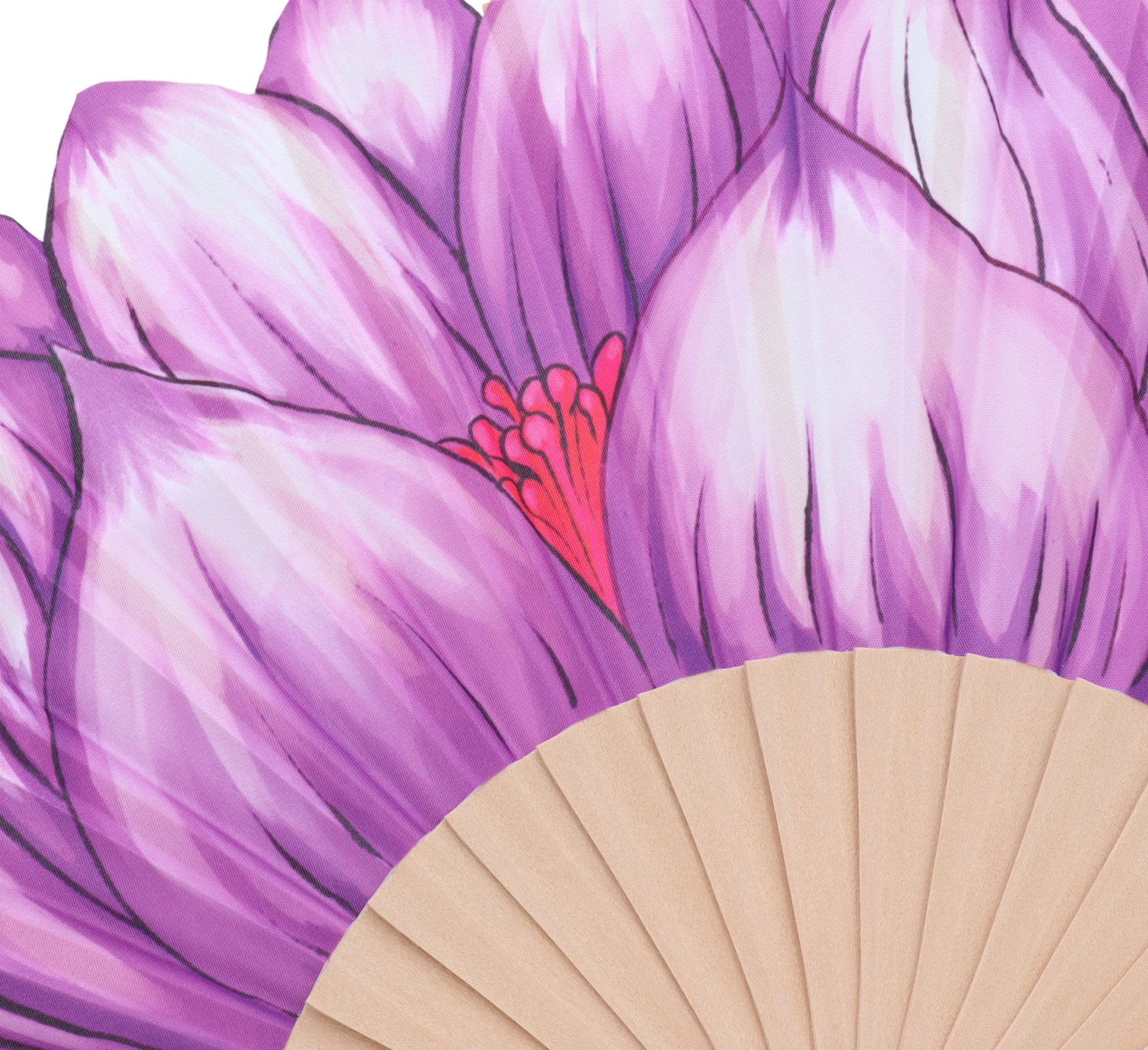 ZAG07889-Viola