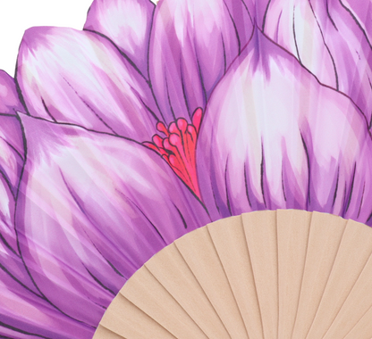 ZAG07889-Viola
