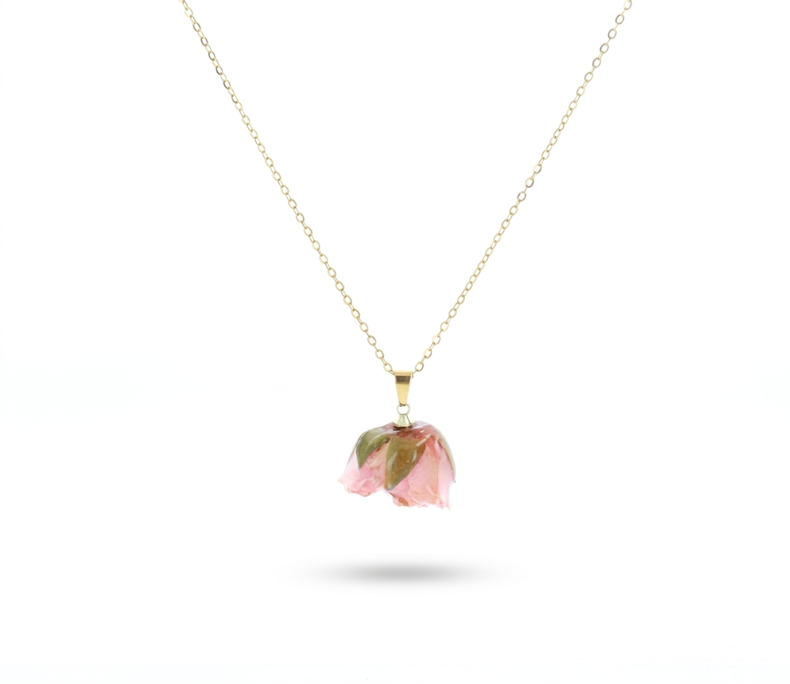 ZAG07962-Rosa