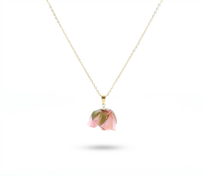 ZAG07962-Rosa