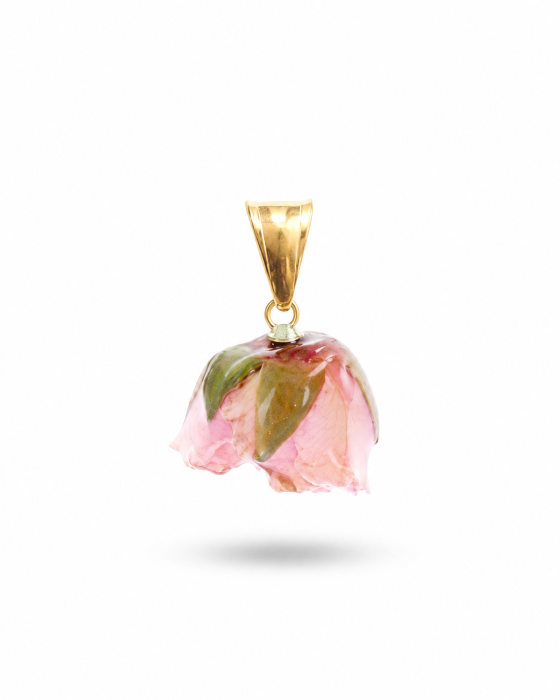 ZAG07962-Rosa