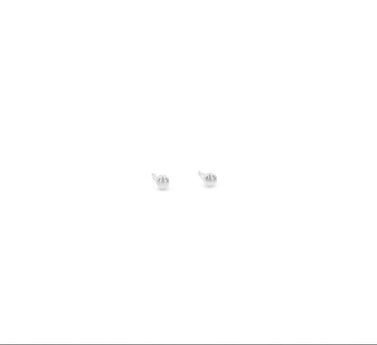 ZAG07967-Argento