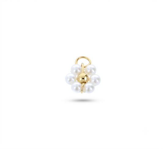 ZAG07981-Oro