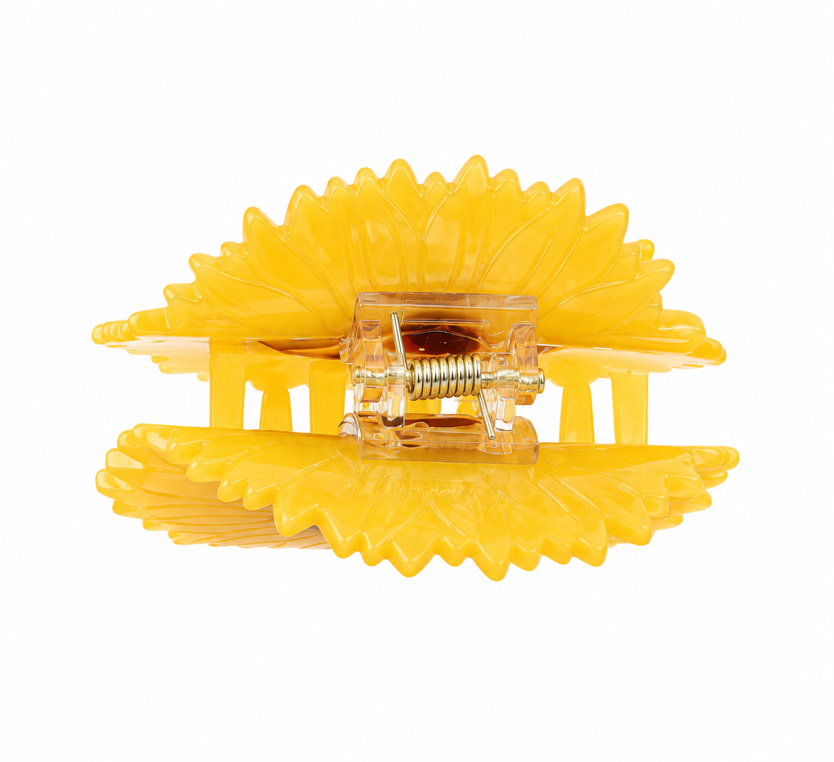 ZAG08171-Giallo1