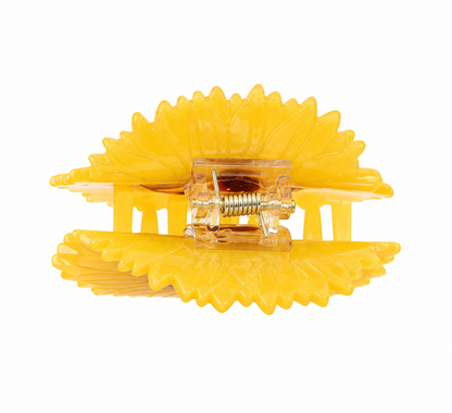 ZAG08171-Giallo1